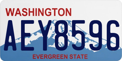 WA license plate AEY8596