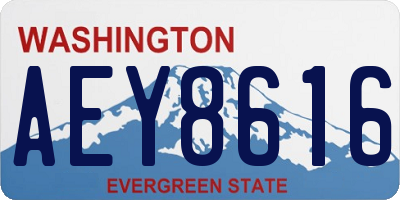WA license plate AEY8616