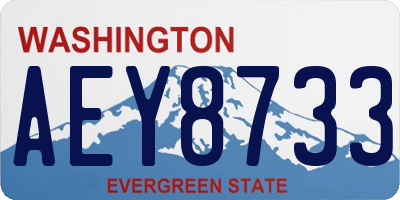 WA license plate AEY8733