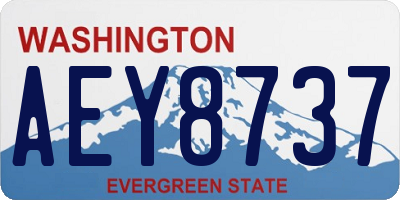 WA license plate AEY8737