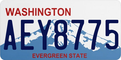 WA license plate AEY8775