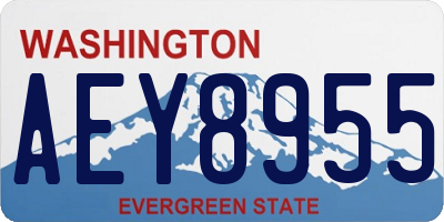 WA license plate AEY8955