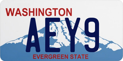 WA license plate AEY9