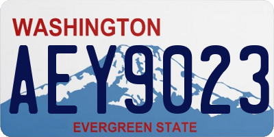 WA license plate AEY9023