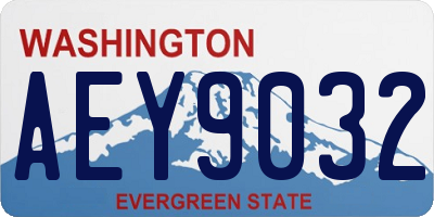 WA license plate AEY9032