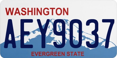 WA license plate AEY9037