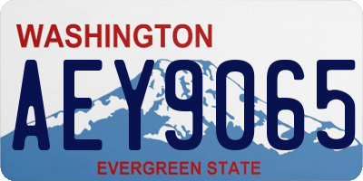 WA license plate AEY9065