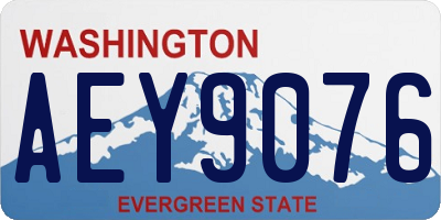 WA license plate AEY9076