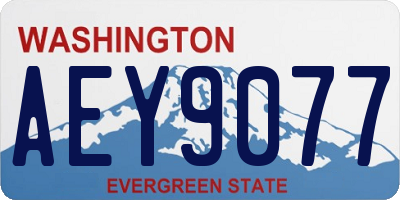 WA license plate AEY9077