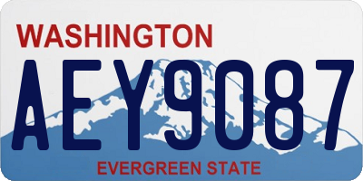 WA license plate AEY9087