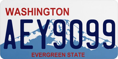 WA license plate AEY9099