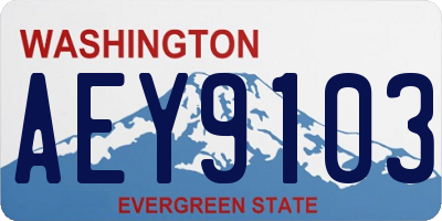 WA license plate AEY9103