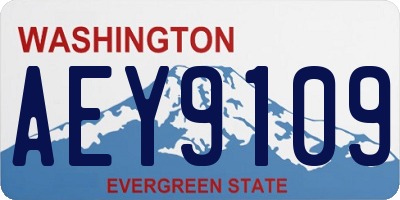 WA license plate AEY9109