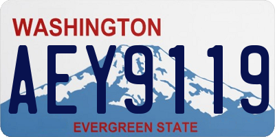 WA license plate AEY9119