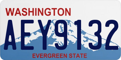 WA license plate AEY9132