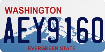 WA license plate AEY9160