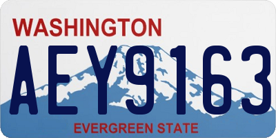 WA license plate AEY9163