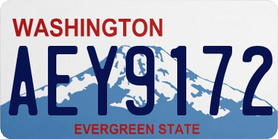 WA license plate AEY9172