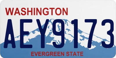 WA license plate AEY9173