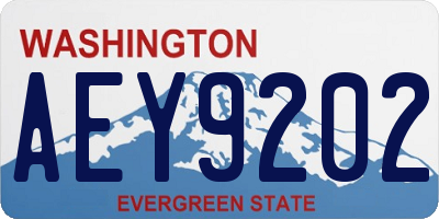 WA license plate AEY9202