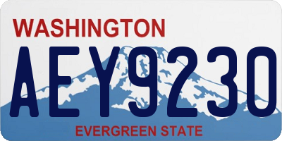 WA license plate AEY9230