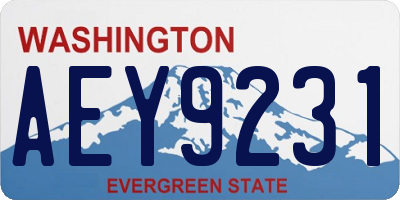 WA license plate AEY9231