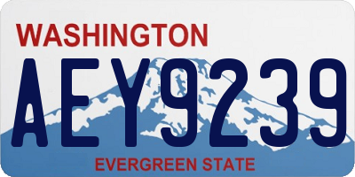 WA license plate AEY9239