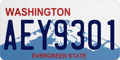 WA license plate AEY9301