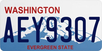 WA license plate AEY9307