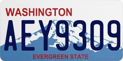 WA license plate AEY9309