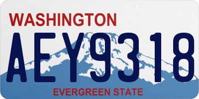 WA license plate AEY9318