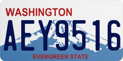 WA license plate AEY9516