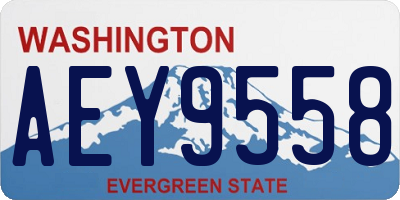 WA license plate AEY9558
