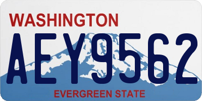 WA license plate AEY9562