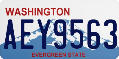 WA license plate AEY9563