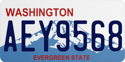 WA license plate AEY9568