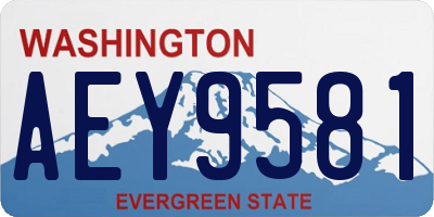 WA license plate AEY9581