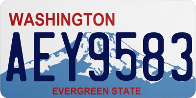 WA license plate AEY9583