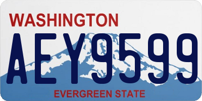 WA license plate AEY9599
