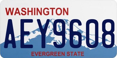 WA license plate AEY9608