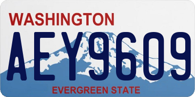 WA license plate AEY9609