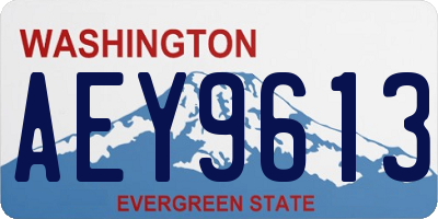 WA license plate AEY9613