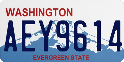 WA license plate AEY9614