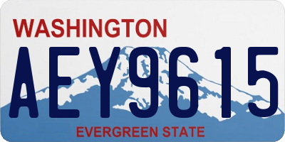 WA license plate AEY9615