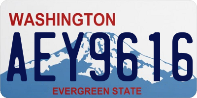 WA license plate AEY9616