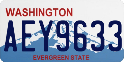 WA license plate AEY9633