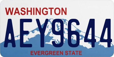 WA license plate AEY9644