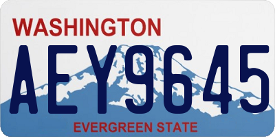 WA license plate AEY9645