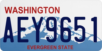 WA license plate AEY9651