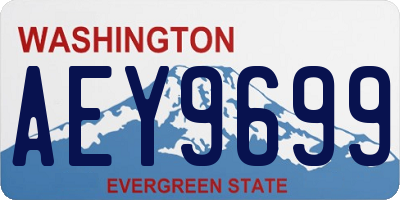 WA license plate AEY9699